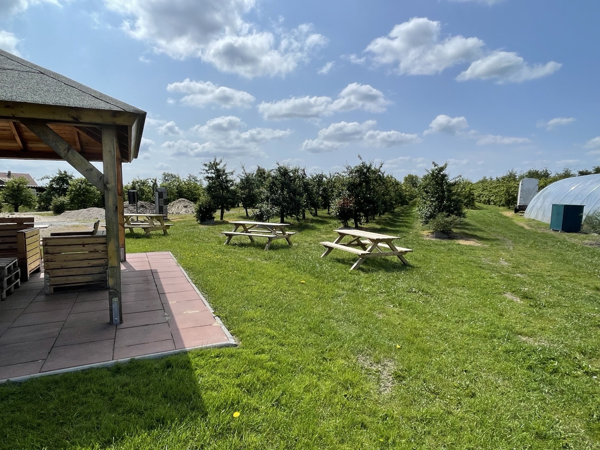 Picknickplatz Ansicht in die Baumreihe